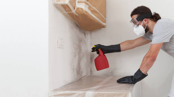 Professional Attic Mold Remediation technician working in Street, MD